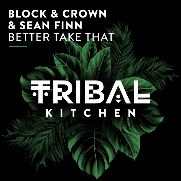 Better Take That - Single album cover