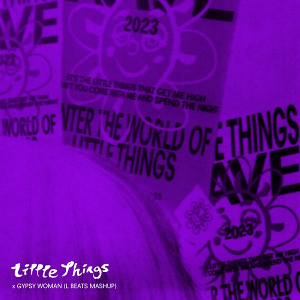Little Things x Gypsy Woman (L BEATS MASHUP) - Single album cover