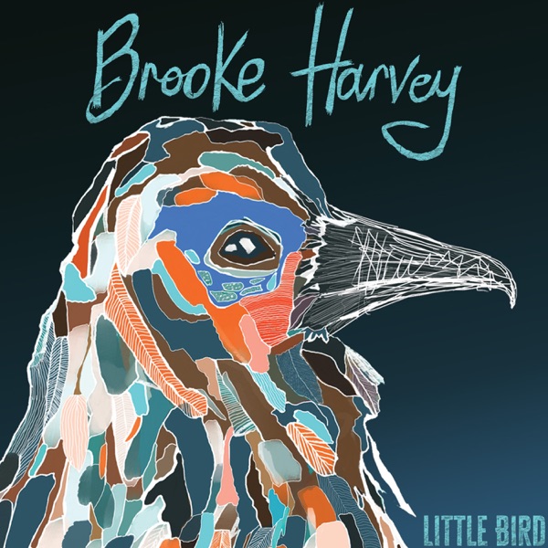 Little Bird (feat. Kasey Chambers) - Single album cover