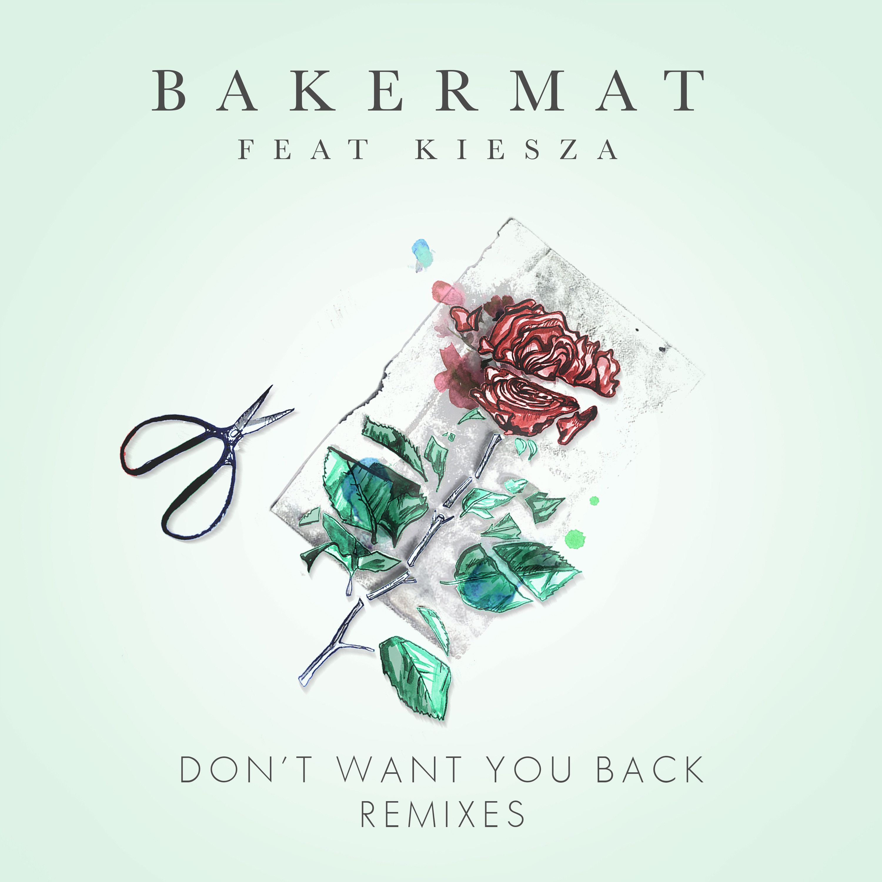 Don't Want You Back (feat. Kiesza) - Single album cover