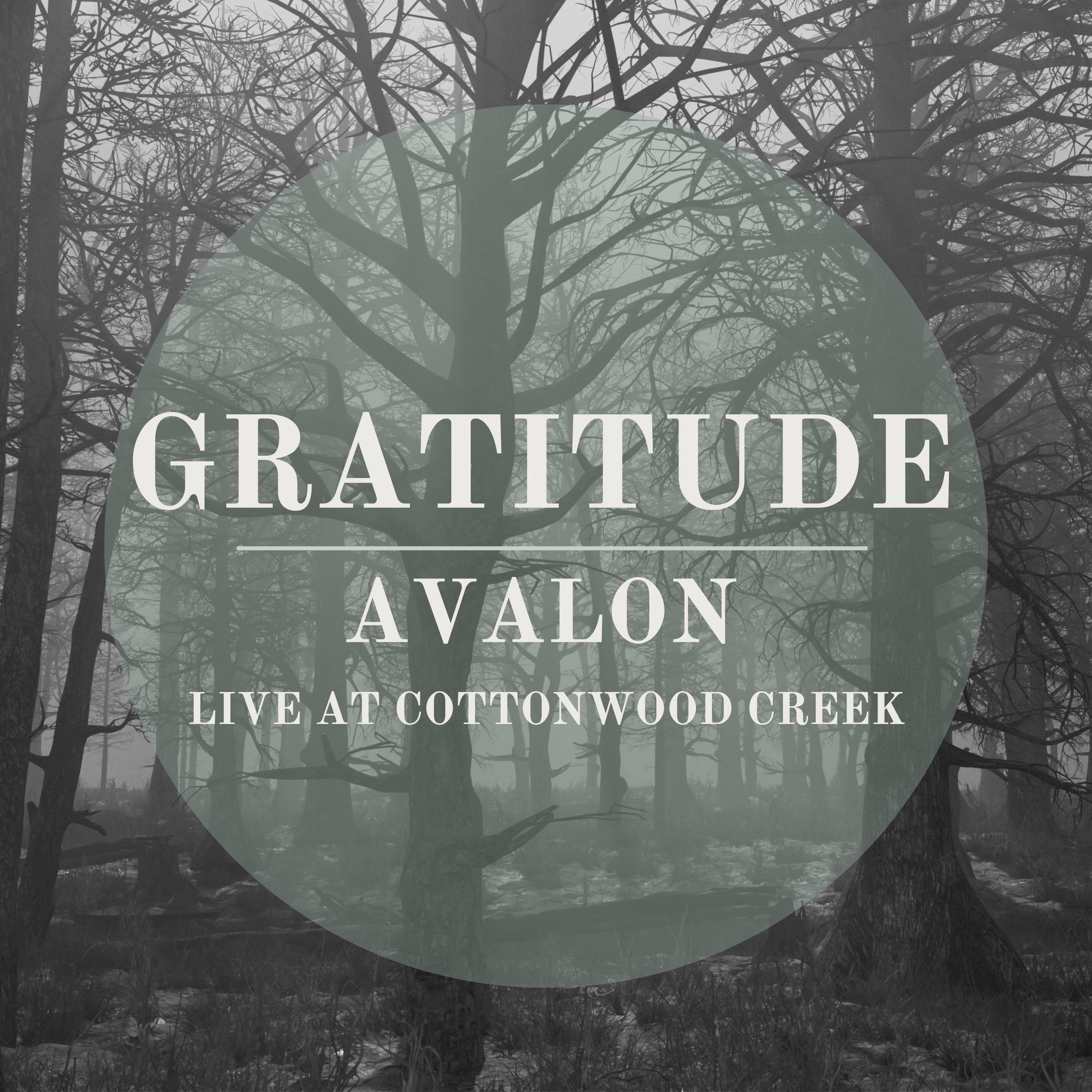 Gratitude (Live) - Single album cover