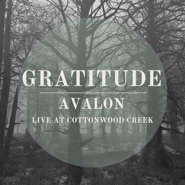 Gratitude (Live) - Single album cover