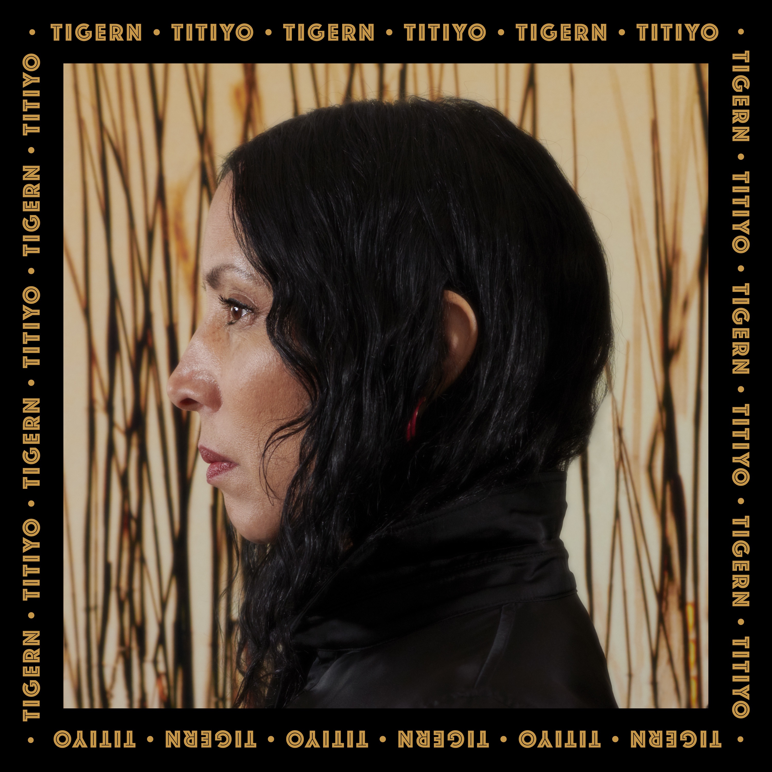 Tigern - Single album cover