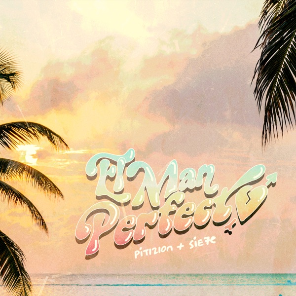 El Man Perfecto - Single album cover