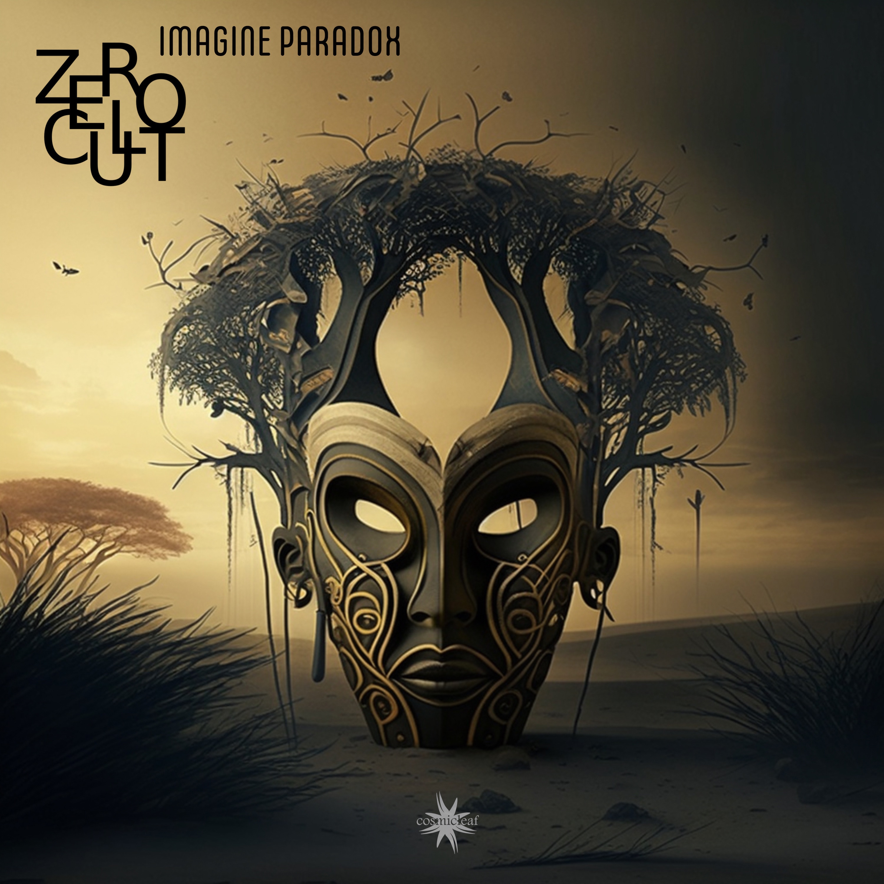 Imagine Paradox album cover