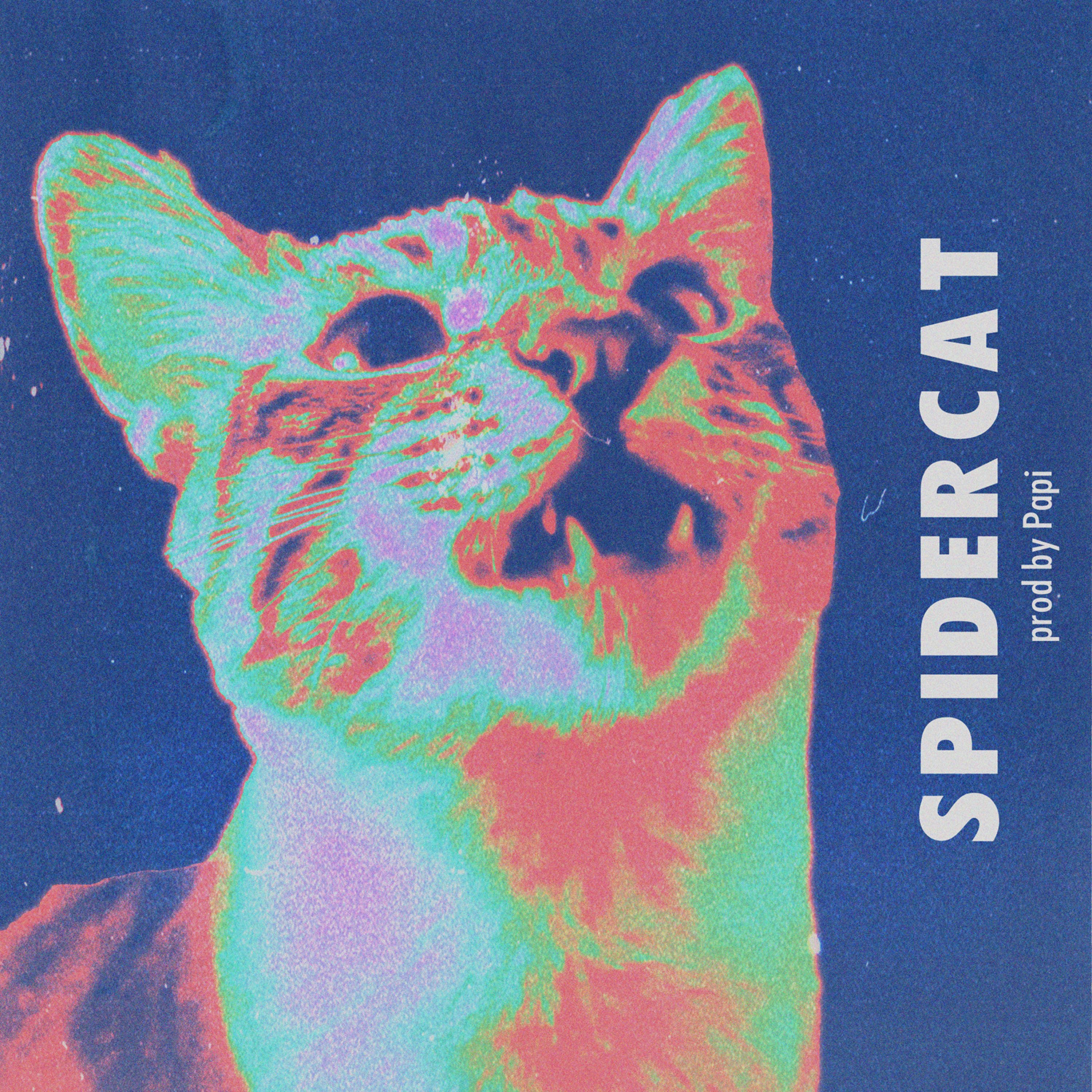 Spidercat - Single album cover