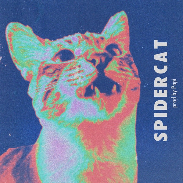 Spidercat - Single album cover