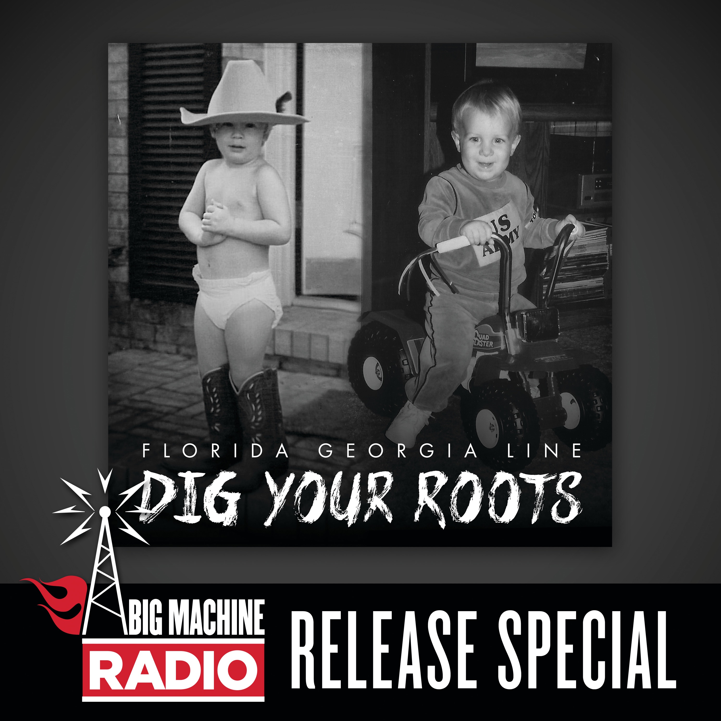 Dig Your Roots (Big Machine Radio Release Special) album cover