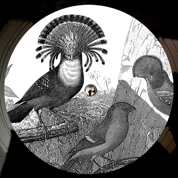 Anna Lunoe & Friends - EP album cover