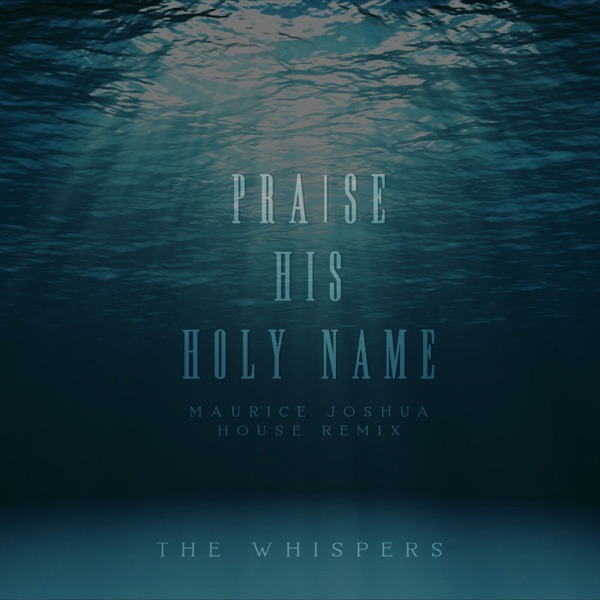Praise His Holy Name (House Remix) - Single album cover