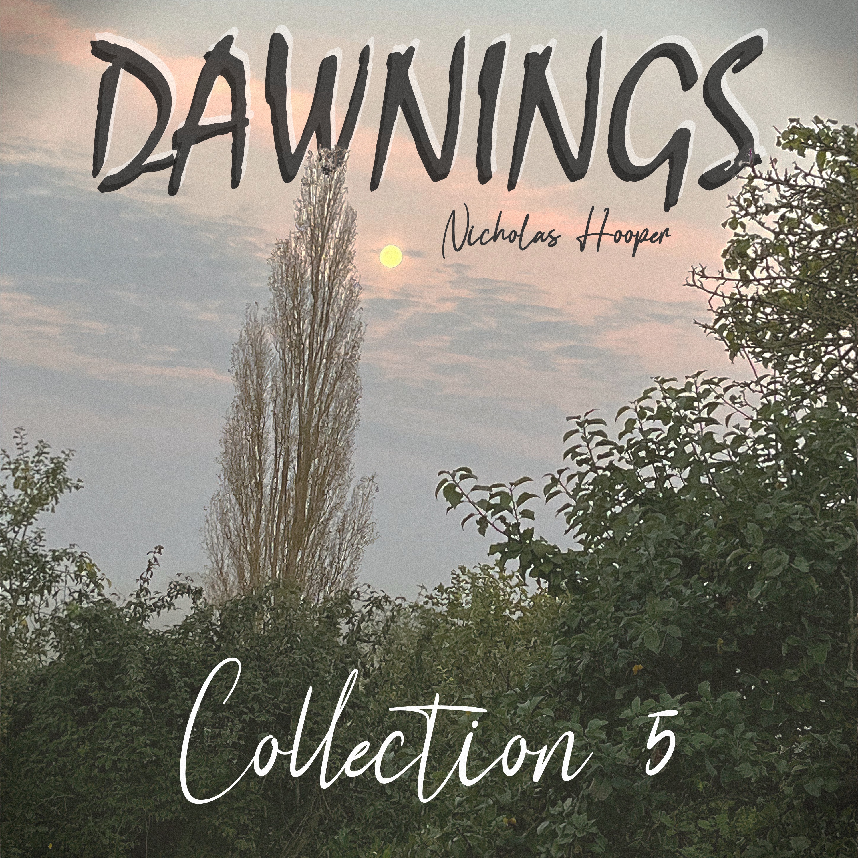 Dawnings: Collection 5 album cover