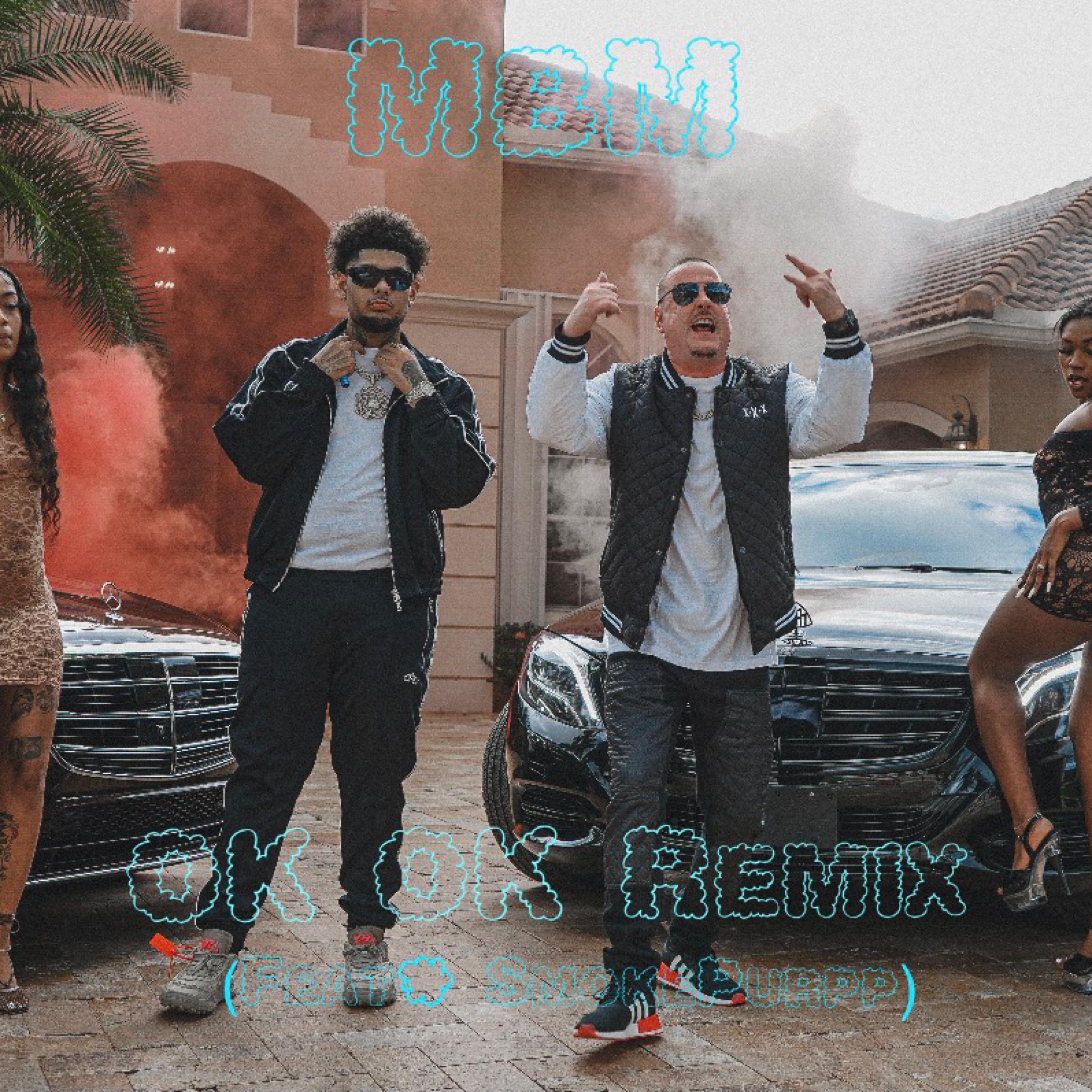 OK OK (feat. Smokepurpp) [Remix] - Single album cover