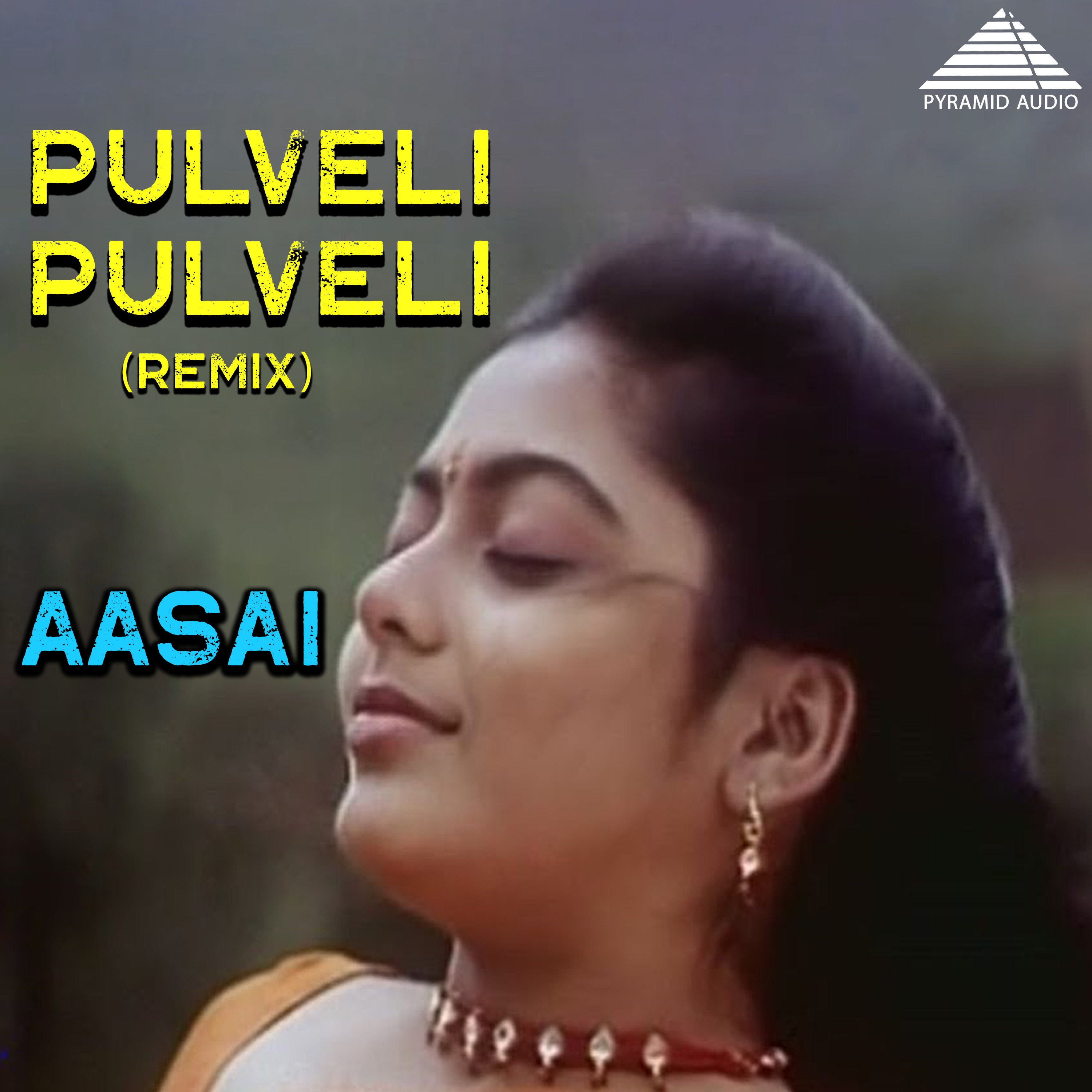 Pulveli Pulveli Remix (From "Aasai") - Single album cover