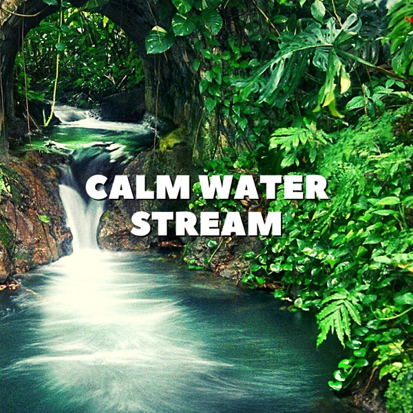 Calm Water Stream - EP album cover