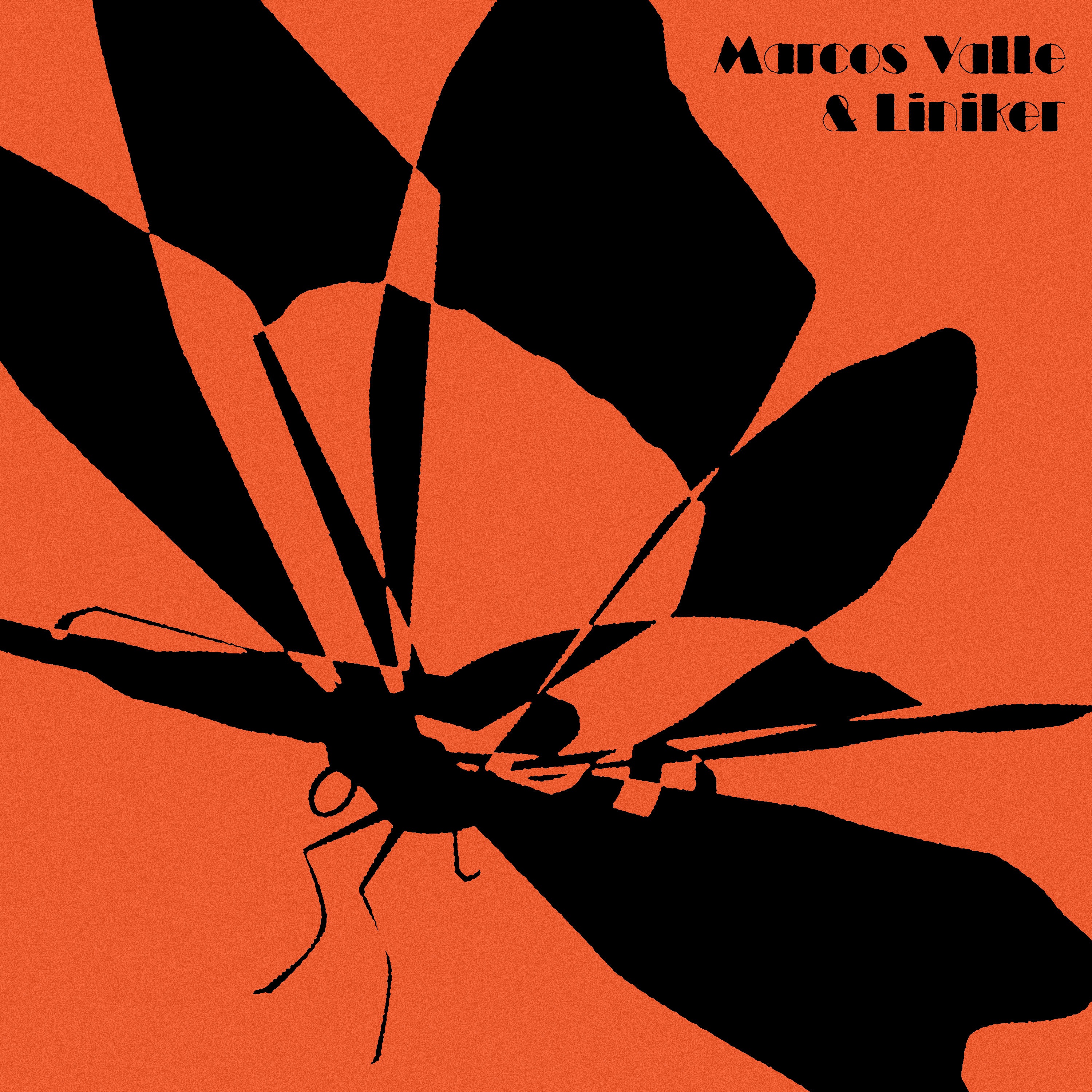 Vida - Single album cover