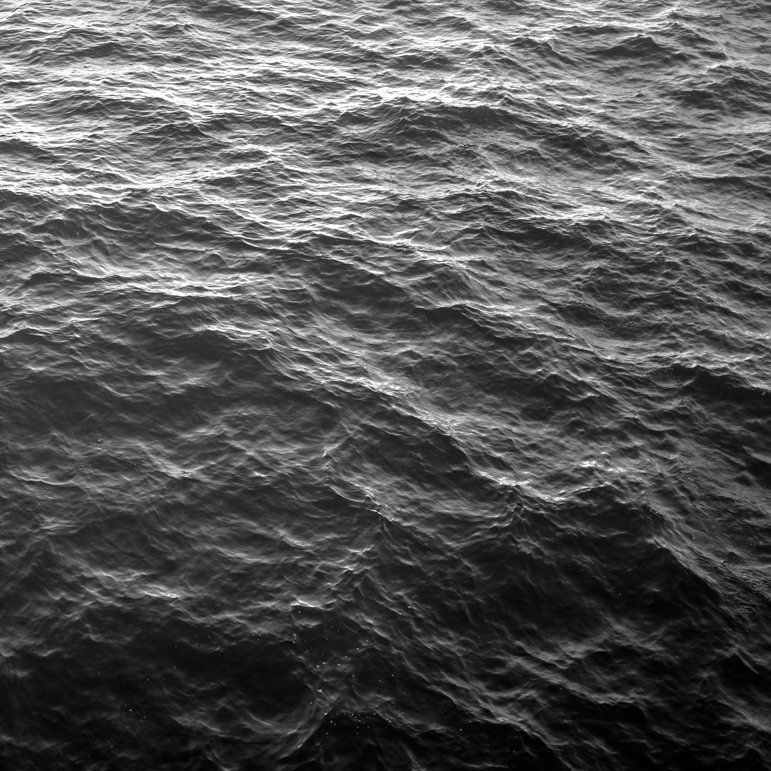 The First Cause album cover