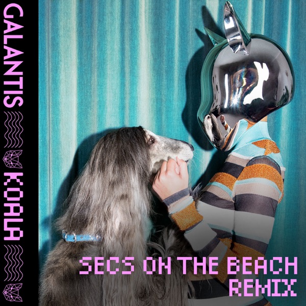 Koala (secs on the beach Remix) - Single album cover