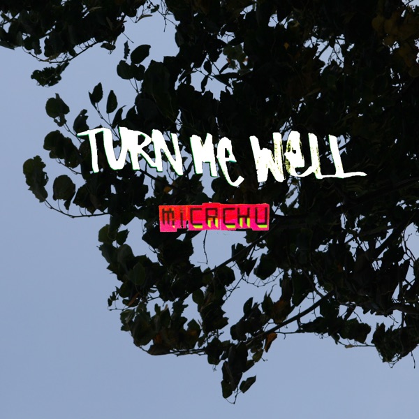 Turn Me Well - EP album cover