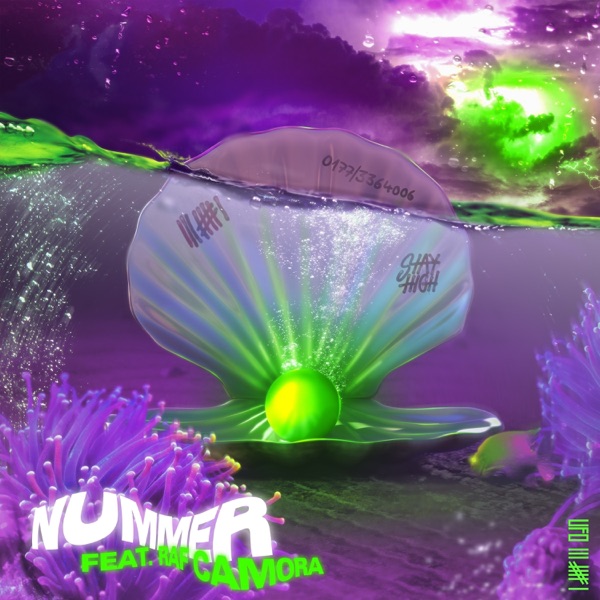 Nummer (feat. RAF Camora) - Single album cover