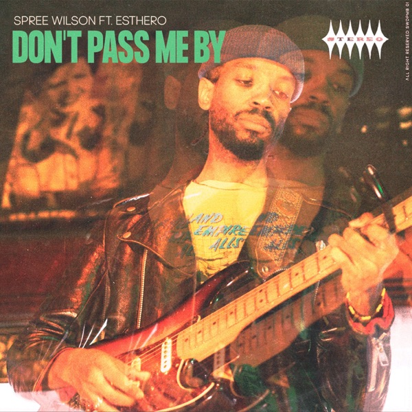 Don't Pass Me By (feat. Esthero) - Single album cover