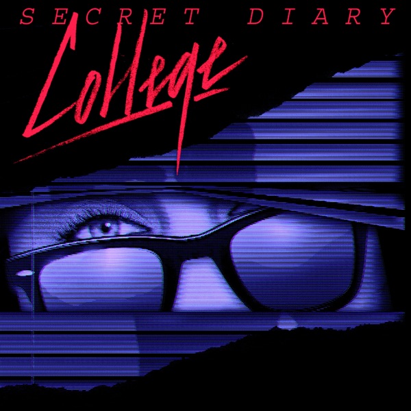 Secret Diary album cover