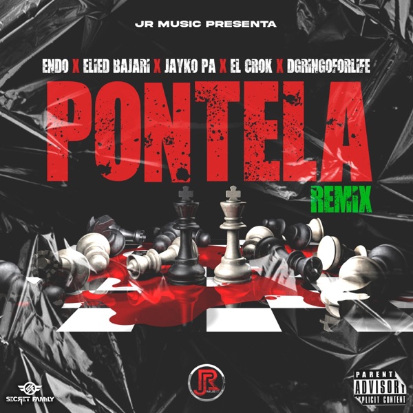 Pontela (feat. El Crok, D Gringo & Jayko Pa) [Remix] - Single album cover
