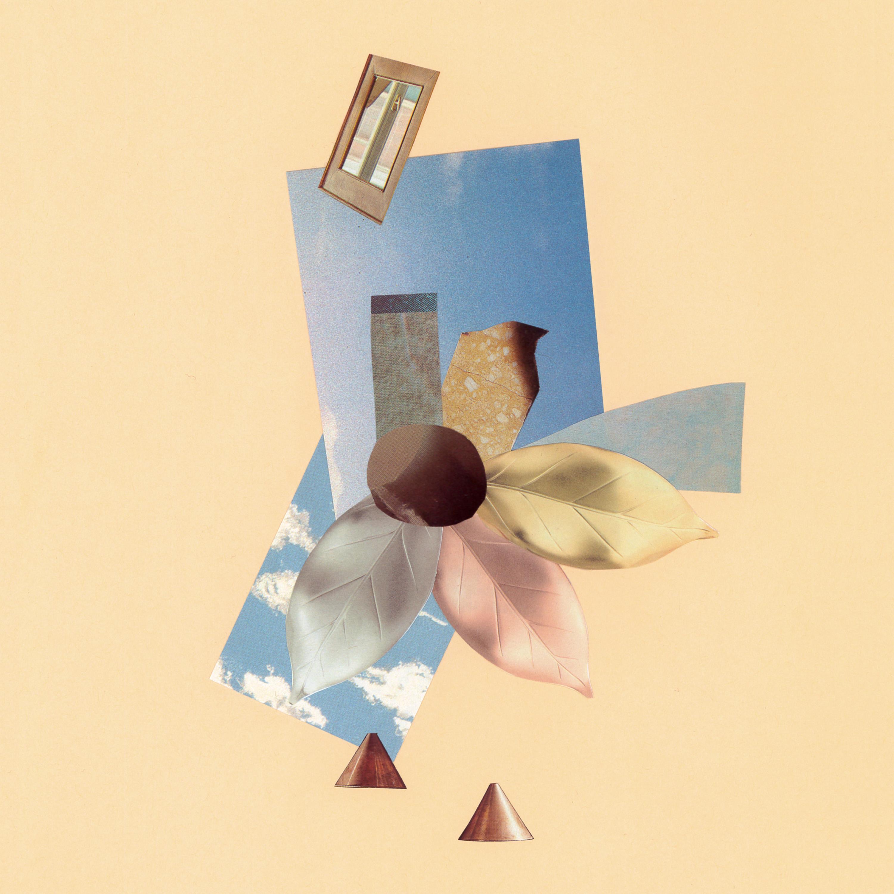 Wonderland album cover