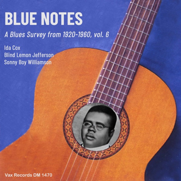 Blue Notes – A Blues Survey from 1920-1960, vol. 6 - Single album cover