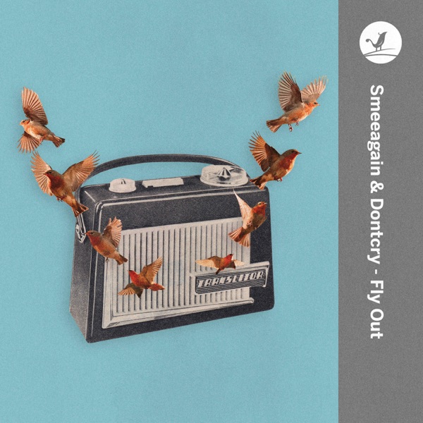 Fly Out - Single album cover