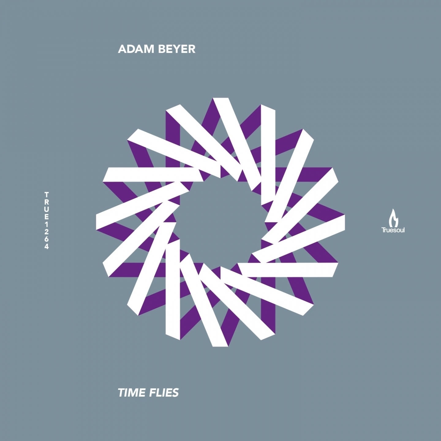 Time Flies - EP album cover