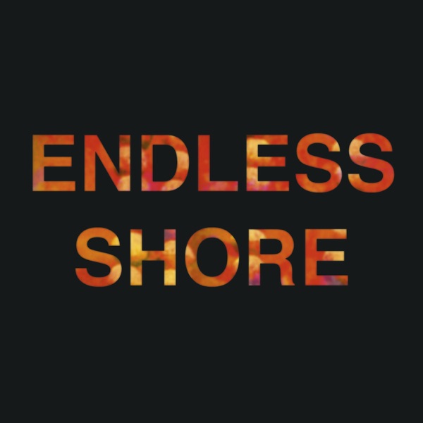 Endless Shore - Single album cover