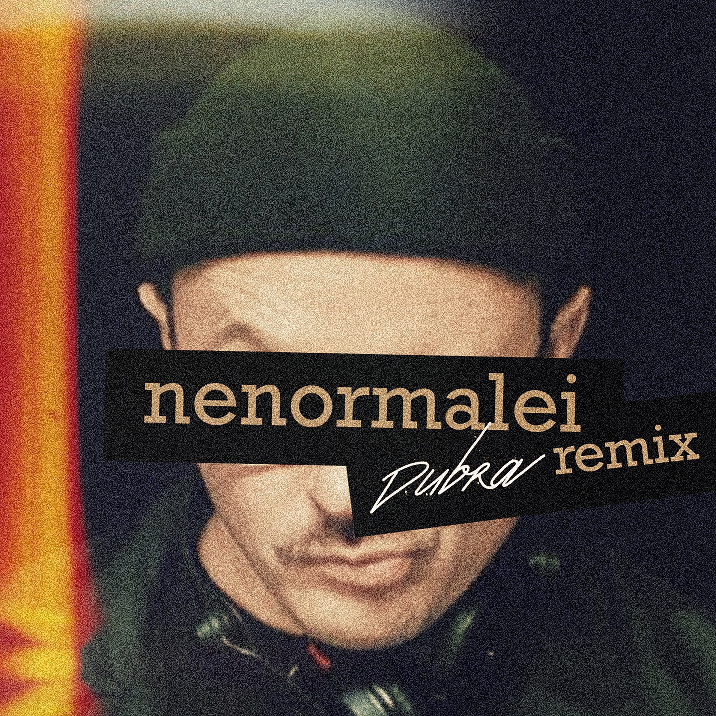 Nenormalei (Dubra Remix) - Single album cover