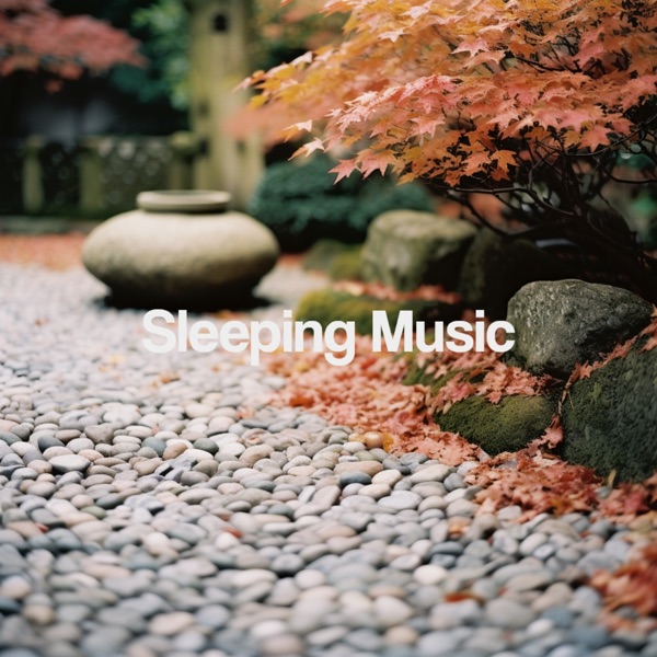 Sleeping Music album cover