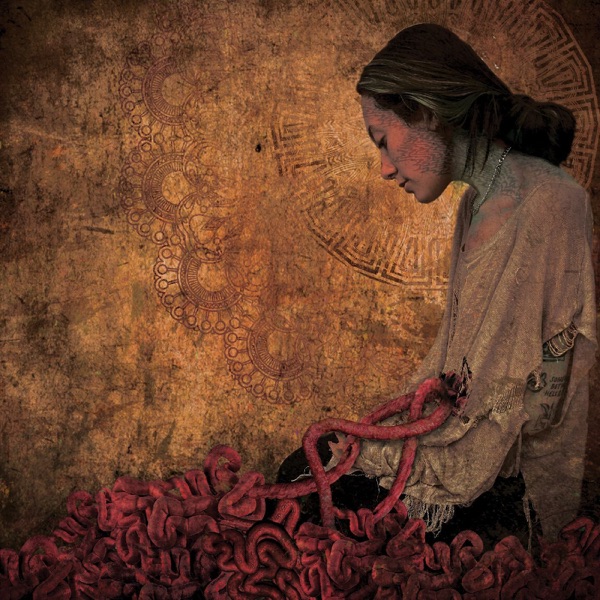 Dissection Lesson - Single album cover