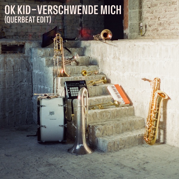 Verschwende mich (Querbeat Edit) - Single album cover