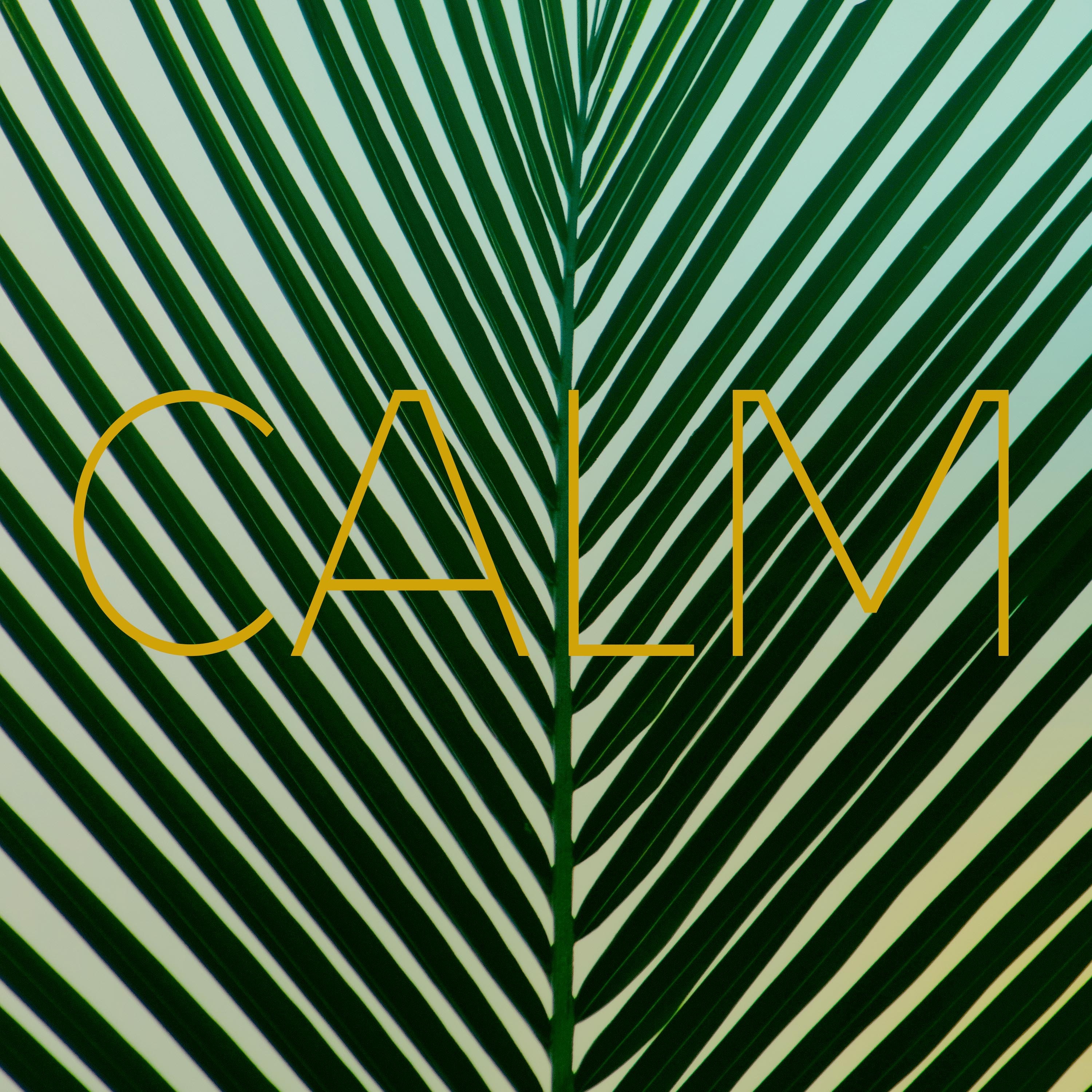 Calm - Single album cover