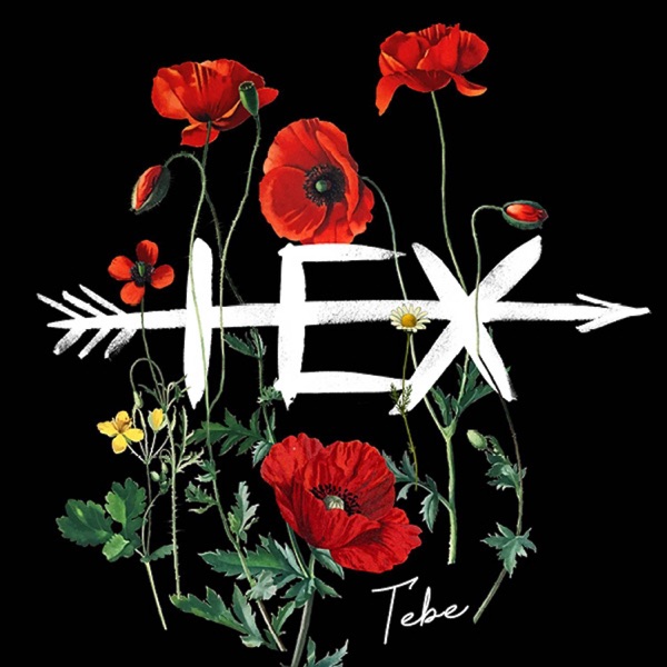 Tebe album cover