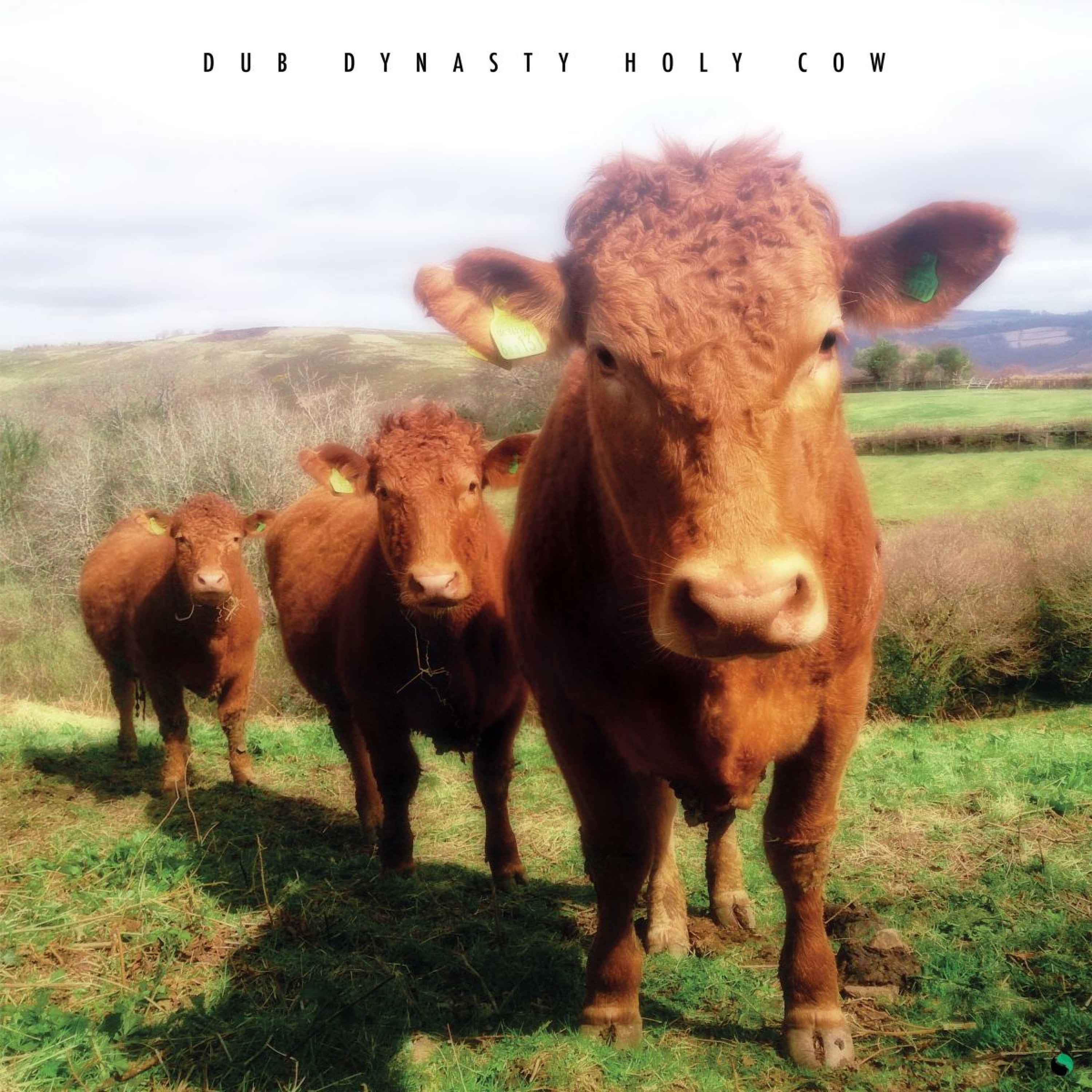 Holy Cow album cover