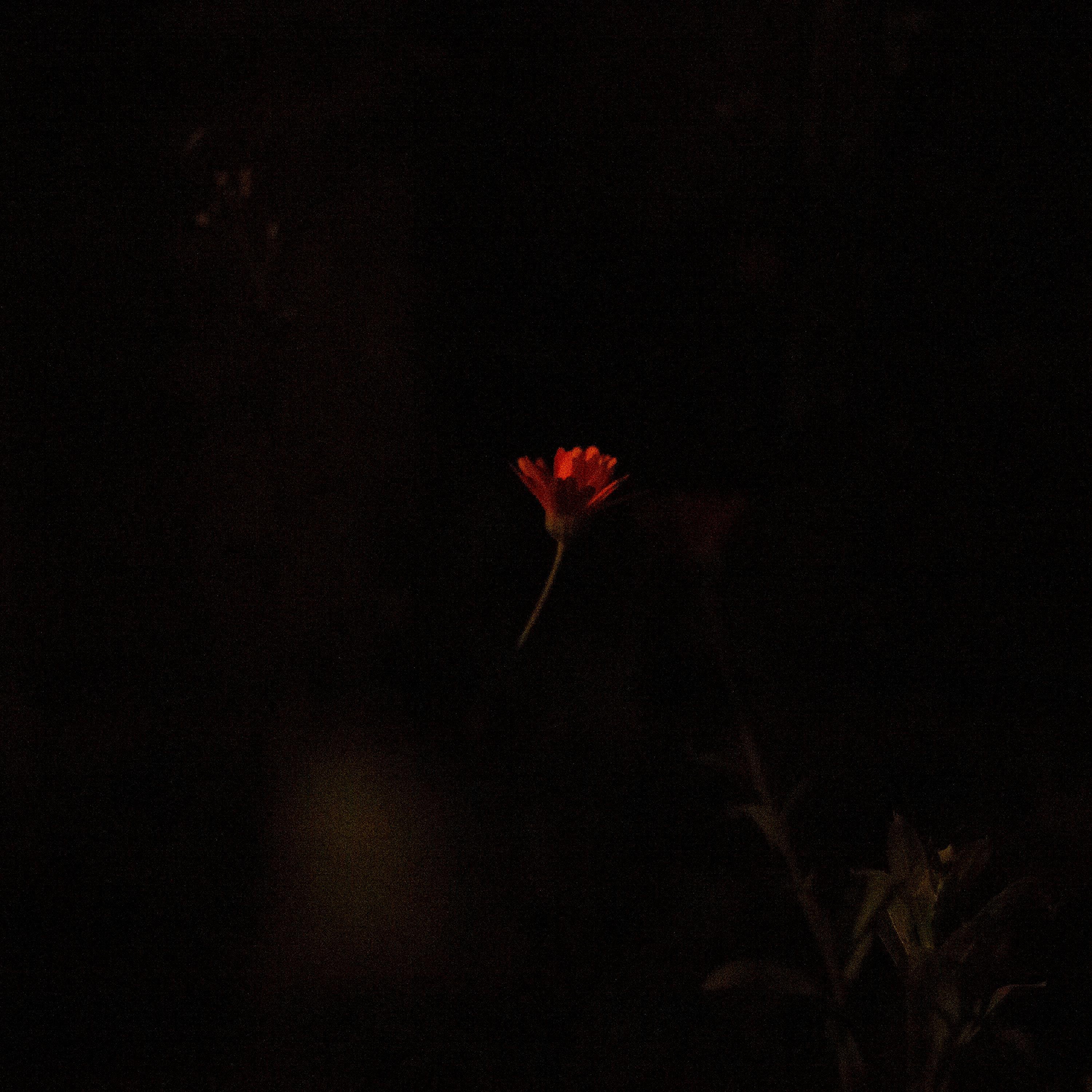 Live at Jazzstate, 04/12/2019 album cover