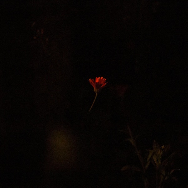 Live at Jazzstate, 04/12/2019 album cover