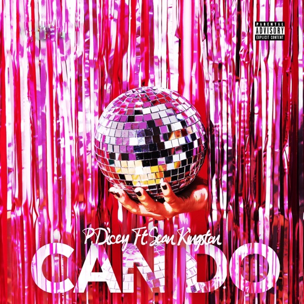 Can Do (feat. Sean Kingston) - Single album cover