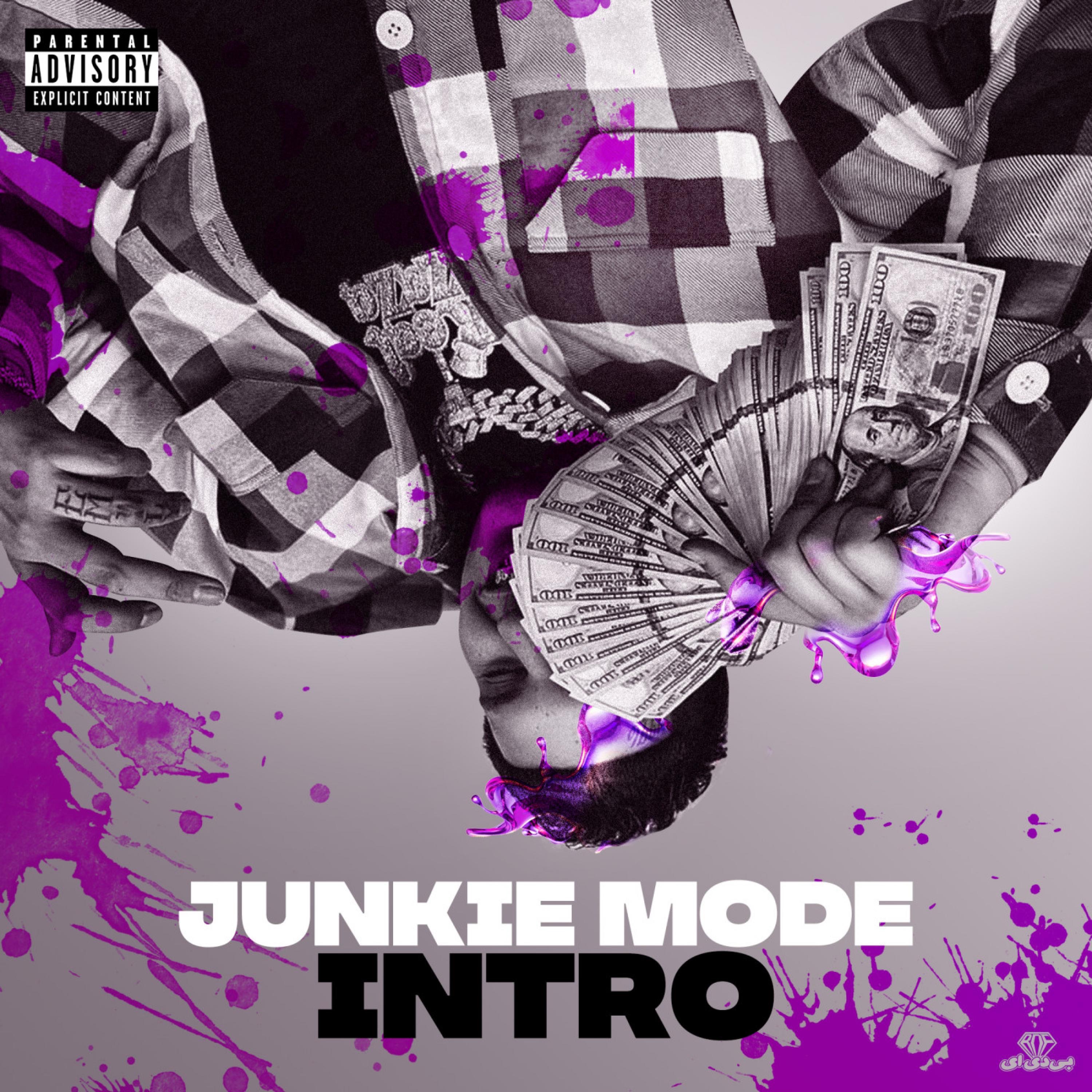 Junkie Mode (Intro) - Single album cover