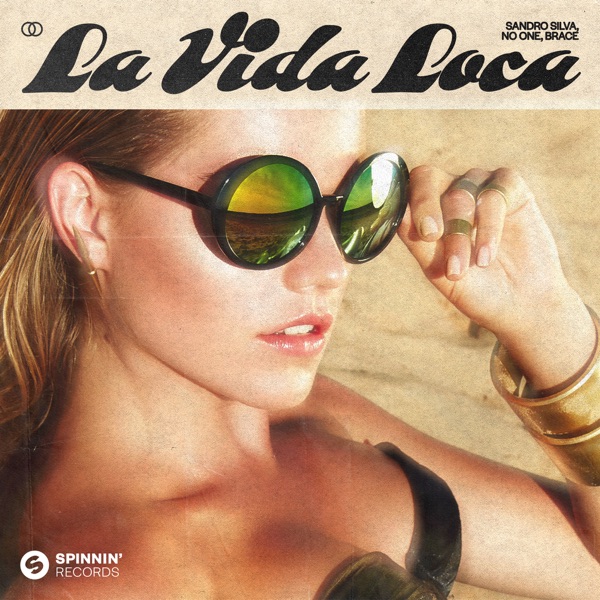 La Vida Loca - Single album cover