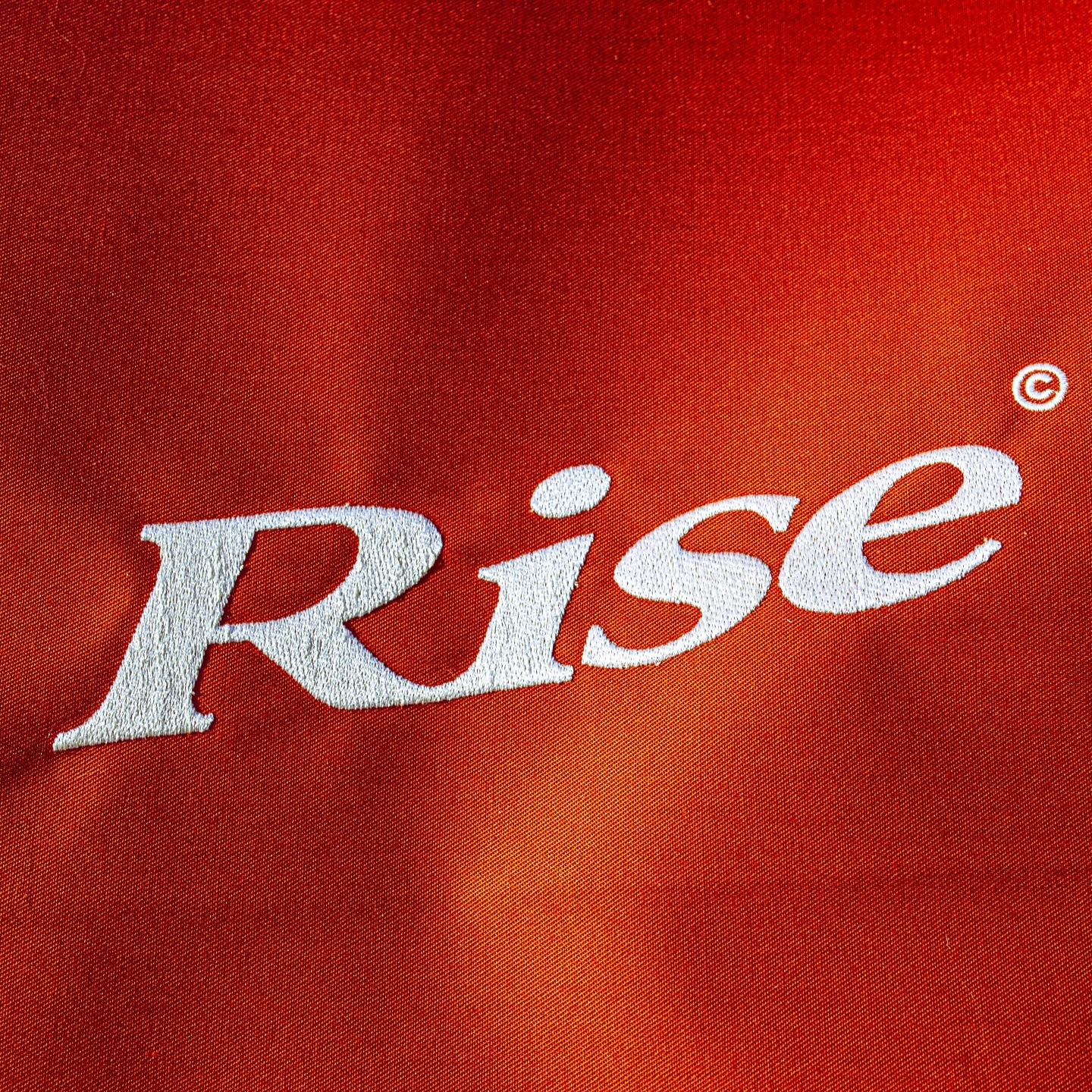RISE (feat. Benny Sings) - Single album cover