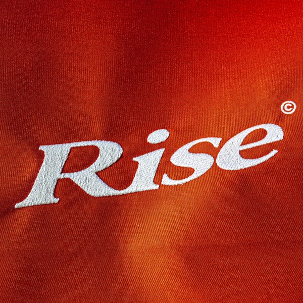 RISE (feat. Benny Sings) - Single album cover