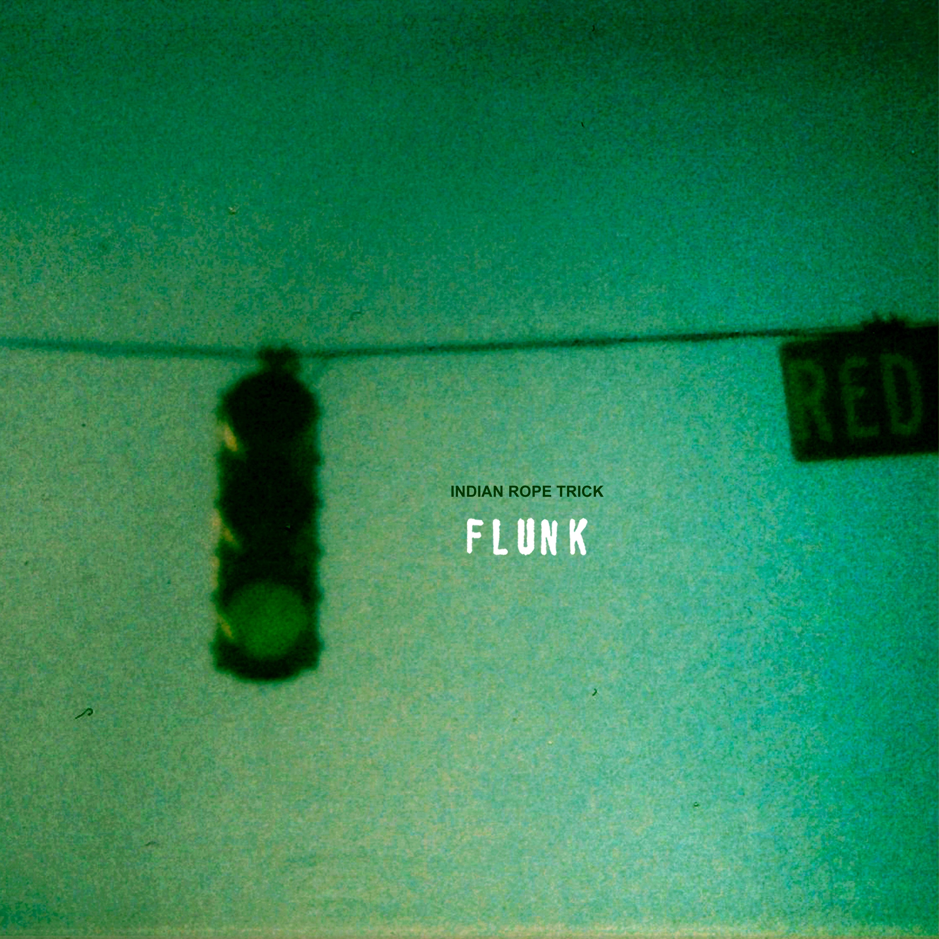 Indian Rope Trick - Single album cover