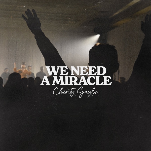 We Need a Miracle - Single album cover