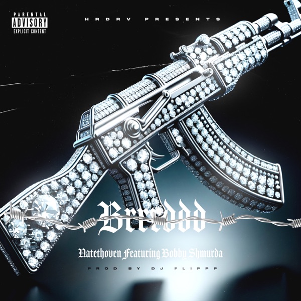Brrrddd (feat. Bobby Shmurda) - Single album cover