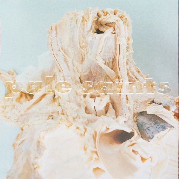 In Ribbons (30th Anniversary Reissue) album cover