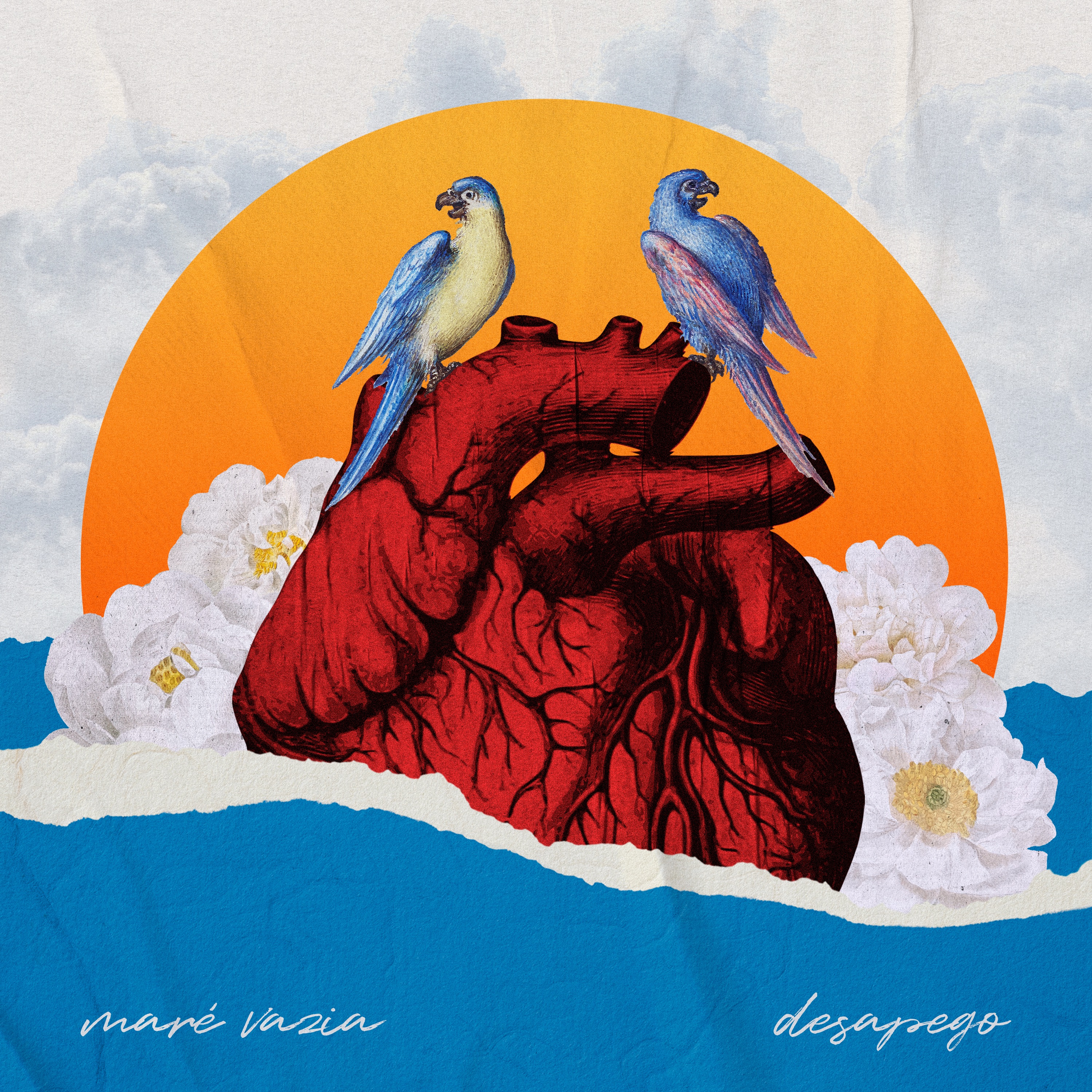 Desapego (feat. Rebeca) - Single album cover